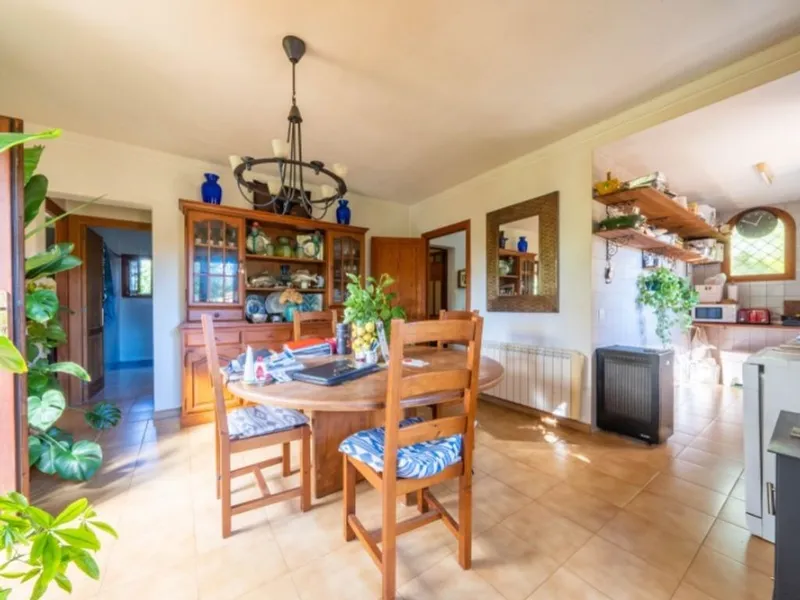 Villa in Santa Maria del Camí, Province of Balearic Islands — photo 7