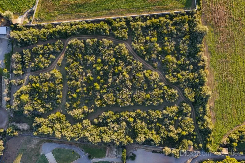 Building Plot for Sale in Alcúdia, Mallorca, Baleares, Spain — photo 9