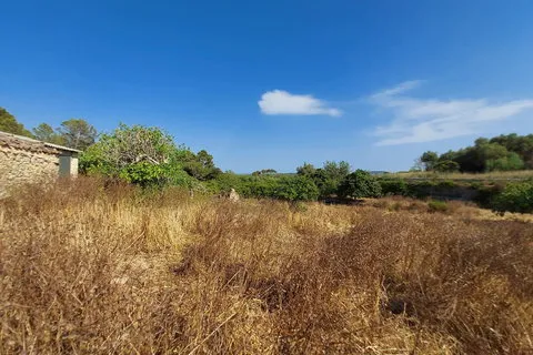 Land in Maria de la Salut, Mallorca — photo 12