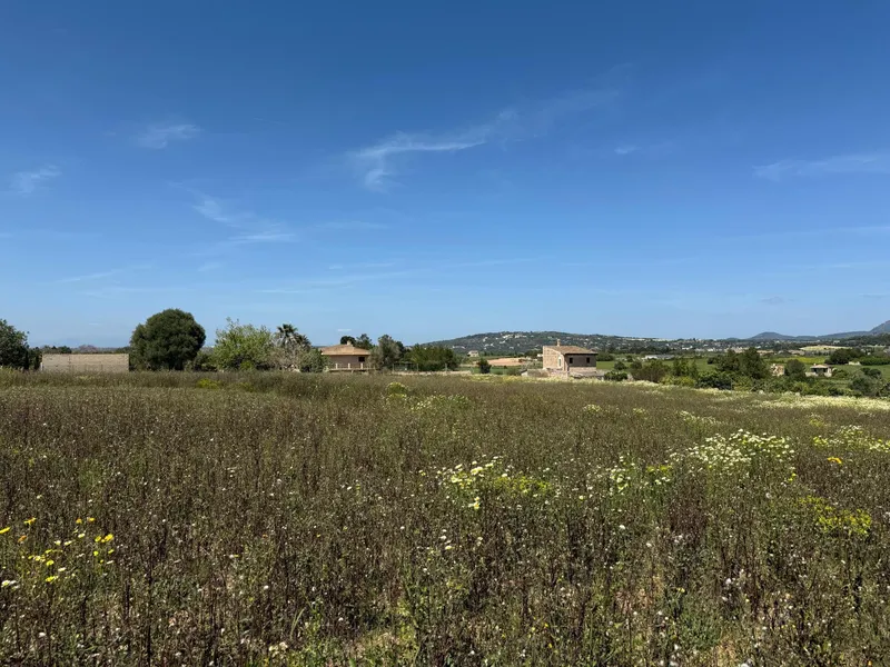Rustic finca with project and building permits — photo 8
