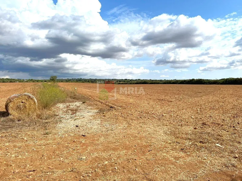Rustic property for sale – Palma de Mallorca — photo 4