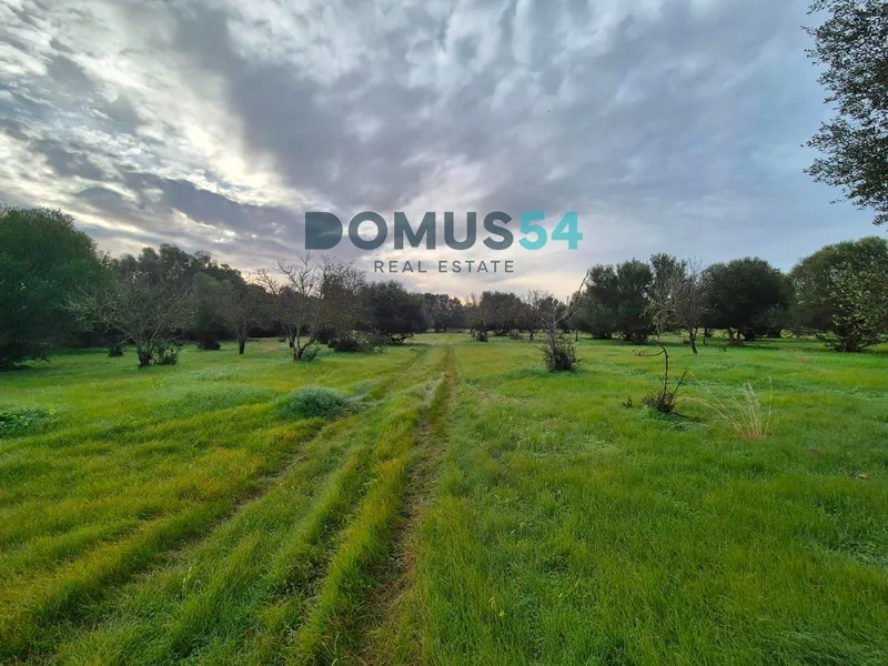 Rustic land for building in Buger — photo 9