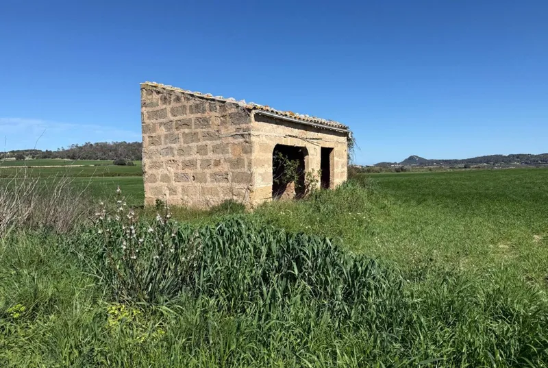Buildable plot with shed in Montuiri — photo 5