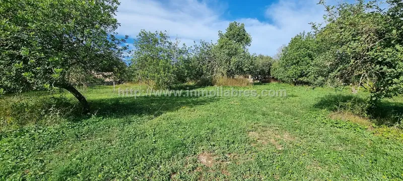 Unique opportunity on the outskirts of the charming municipality of Sencelles, on the beautiful island of Mallorca. This huge rustic estate — photo 8