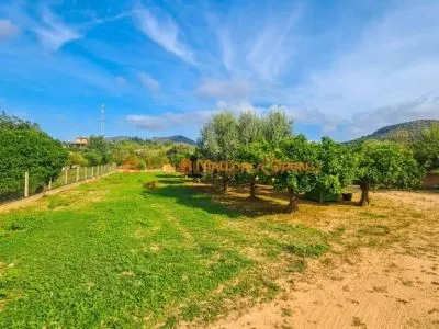 Rustic Finca for Rent in Sant Llorenç — photo 12