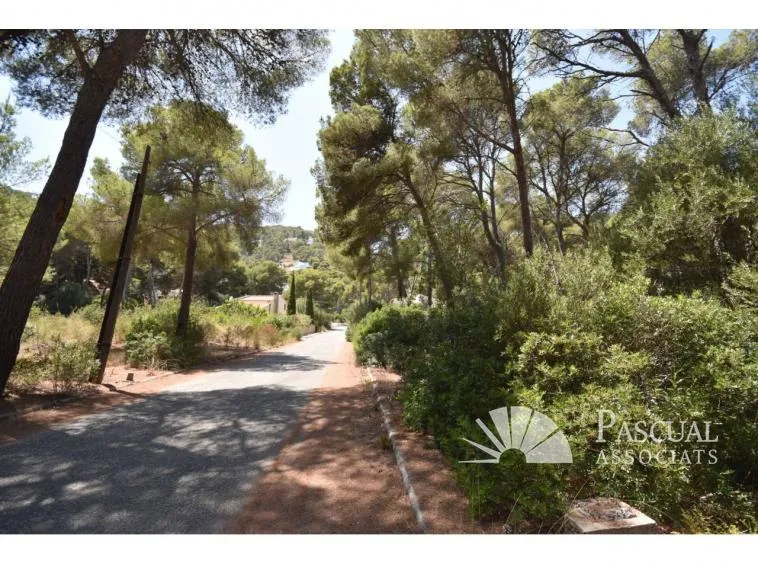Plot on the coast of Canyamel for investment — photo 2