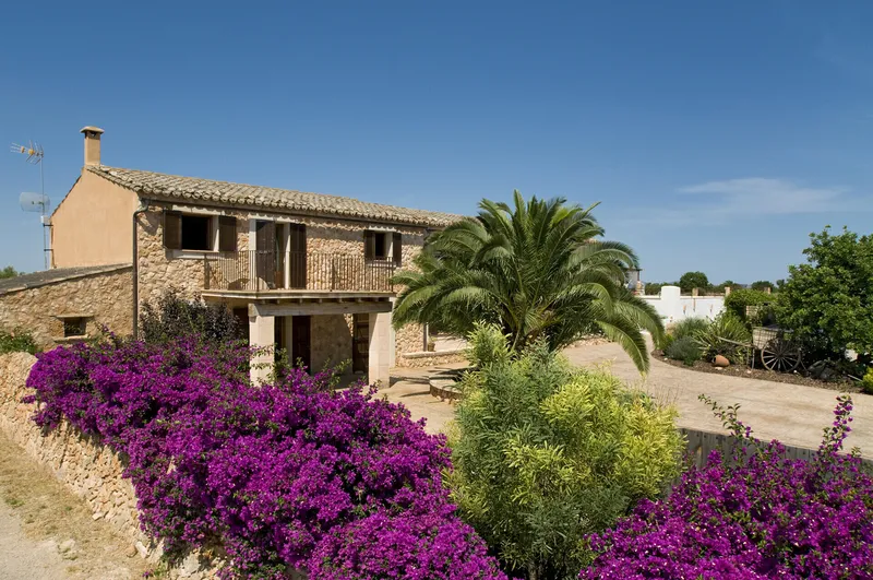Charming agrotourism estate with pool and olive grove in Campos — photo 3