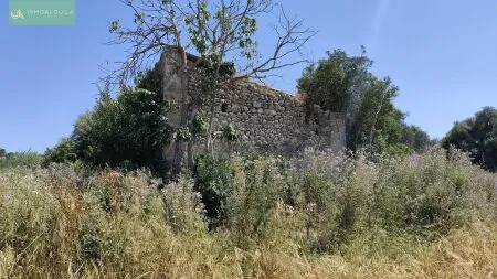 Rural Land - Maria de la Salut (Maria de la Salud), Built Surface 44m², Plot Surface 5000m² — photo 2