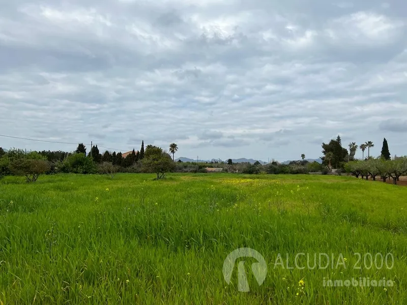 Land — photo 8