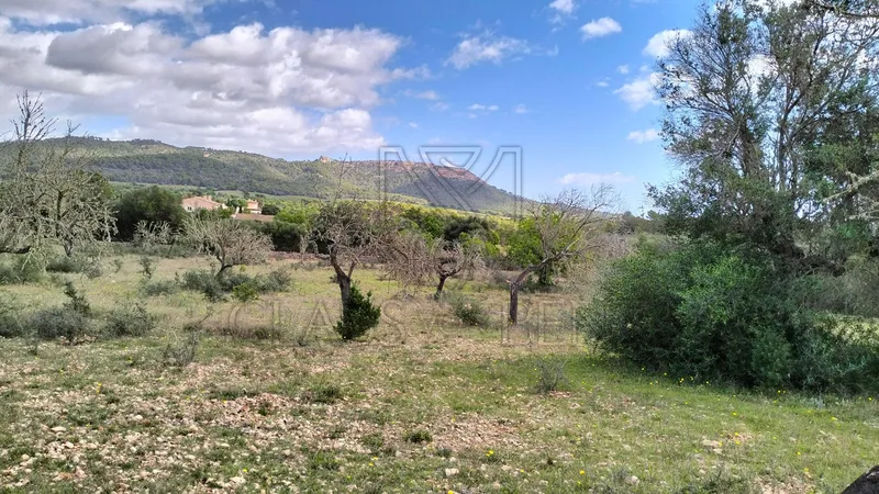 Felanitx – Fantastic plot with panoramic views — photo 4