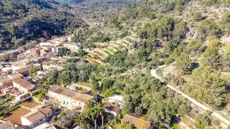 Land in Esporles, Province of Balearic Islands — photo 4