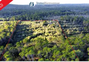 Exceptional Rustic Plot with Building License — photo 1