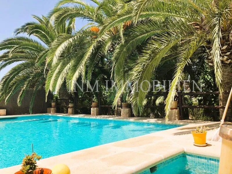 260m² finca for sale with 6 rooms, 3 bathrooms, pool and garden — photo 3