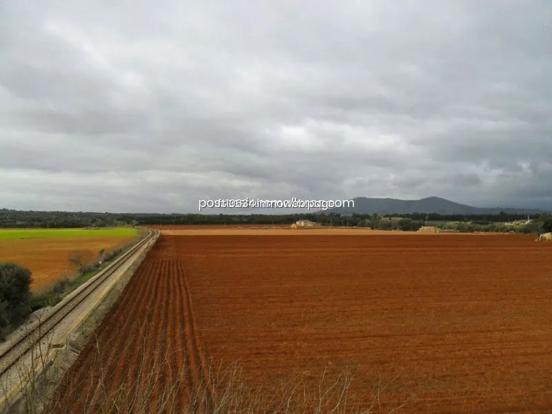 Rural or Farmhouse in Llubí, Province of Balearic Islands — photo 7