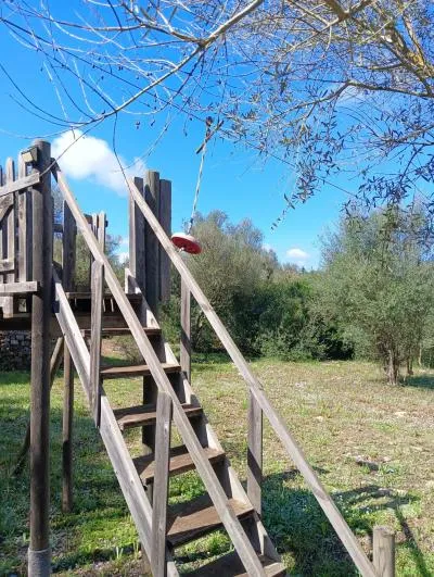 Country House - Manacor (Manacor Centro) — photo 11