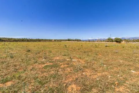 Plot — photo 10