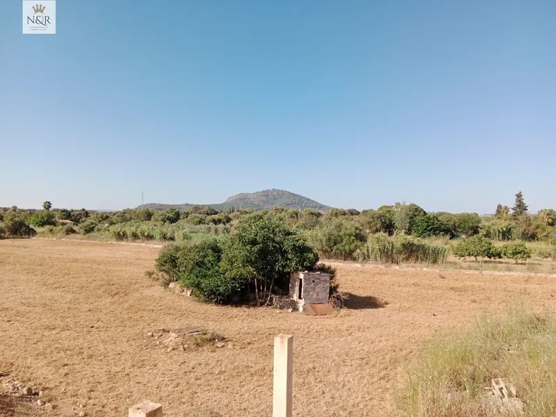 Rural or Farmhouse in Búger, Province of Balearic Islands — photo 8