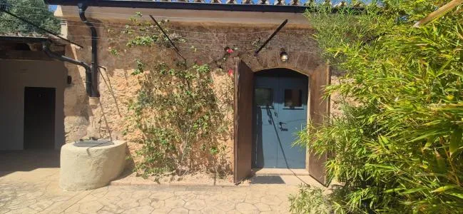 Rustic property - Alaró — photo 4