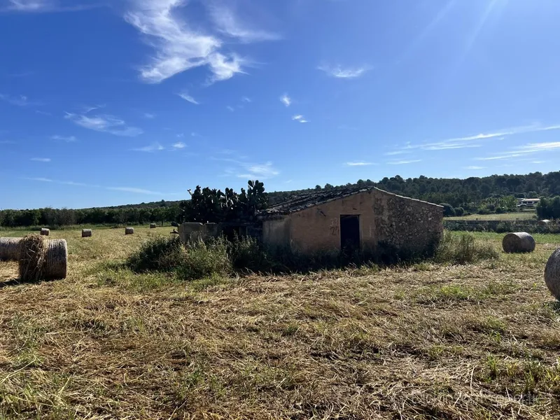Land for sale in Ariany, Mallorca, Baleares, Spain — photo 2