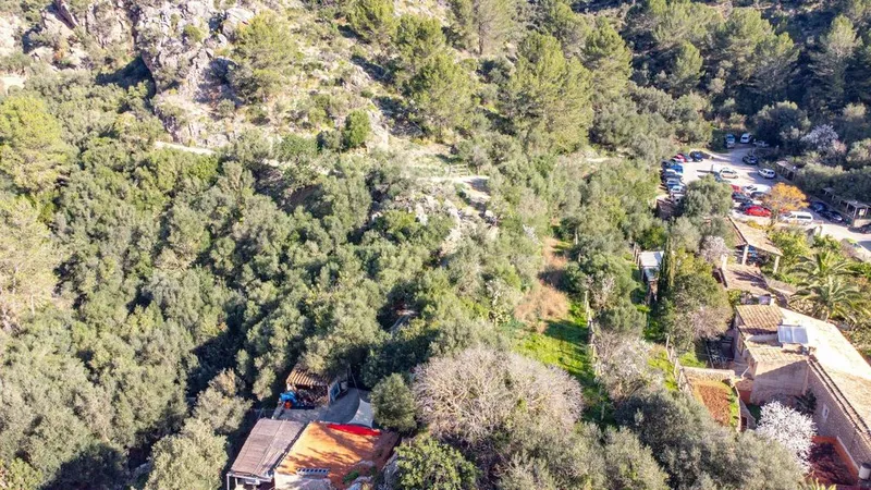 Land in Esporles, Province of Balearic Islands — photo 7