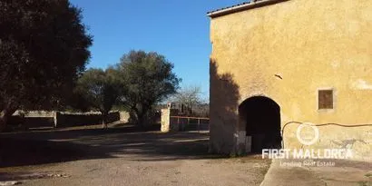 Country estate in Villafranca de Bonany — photo 2
