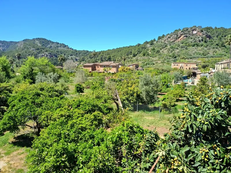 Rustic house for sale in Sóller with 1,000 m² of land — photo 6