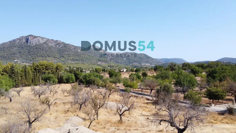 Rustic building plot in Moscari with project and license — photo 7