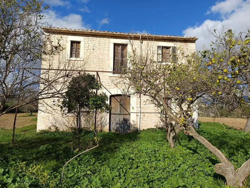 Rustic house in Binissalem — photo 1
