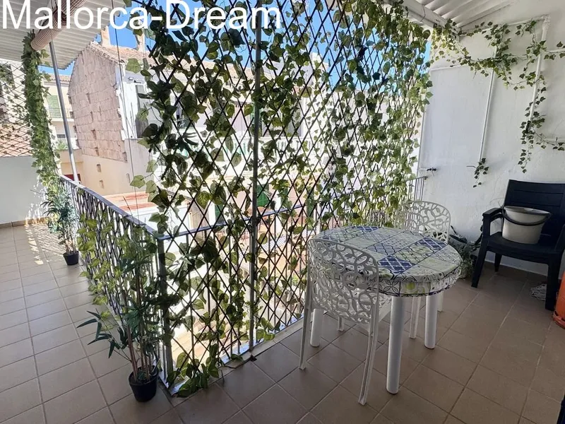Porto Cristo: Perfect Apartment - small price — photo 5