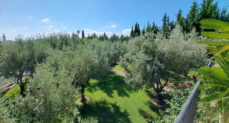 Property in Alaró with 9 bedrooms — photo 5