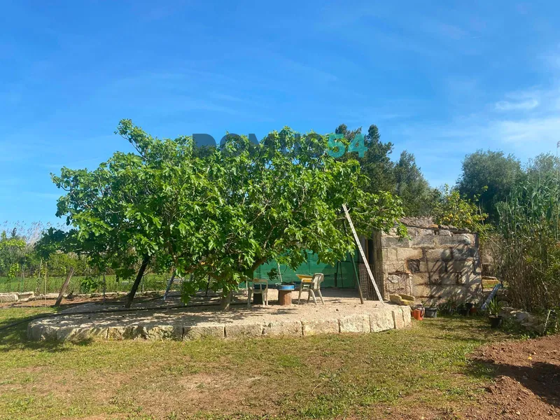 plot in Sa Pobla — photo 8