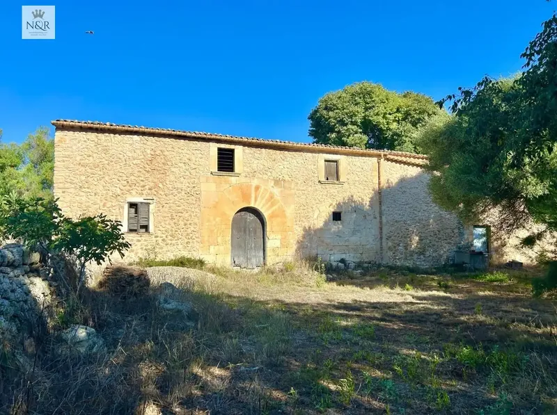 IKV00500-1. Rustic estate for sale in Llubí with good access. — photo 4