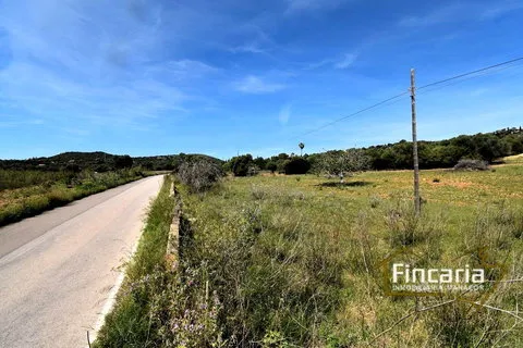 Country house in Sant Llorenc Des Cardassar, Mallorca — photo 12