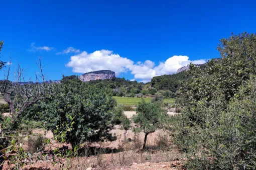 Alaró, finca project in a stunning hill landscape with mountain views near Alaró — photo 11