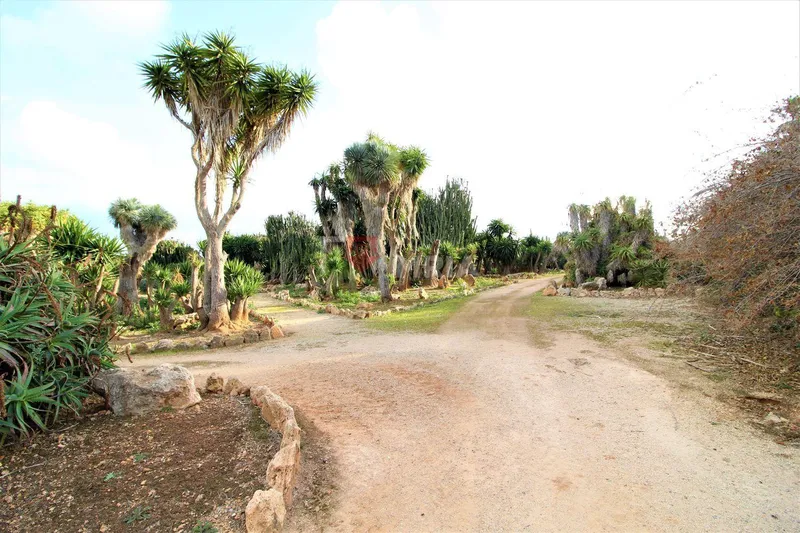 Building for sale – Ses Salines (Mallorca) — photo 12