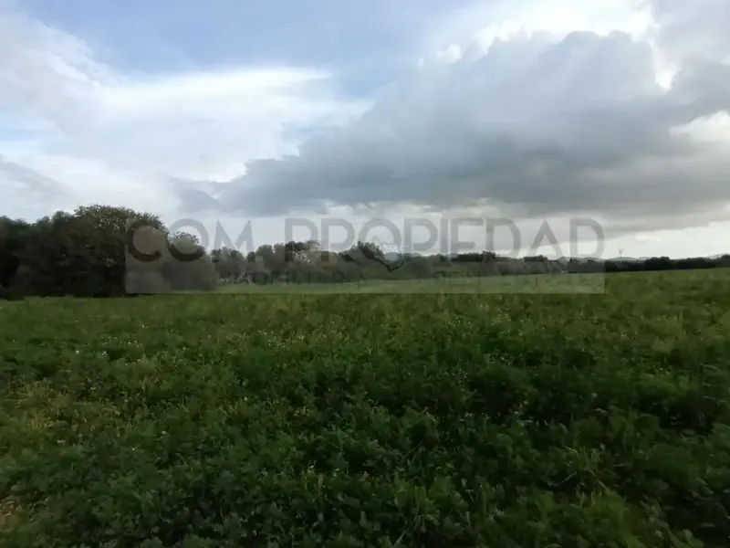 Rustic estate of 217,089 m² of own land, located between Felanitx and Porreres. It has a project for a rural hotel or agrotourism that — photo 12