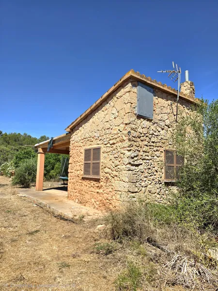 Plot in Algaida — photo 1