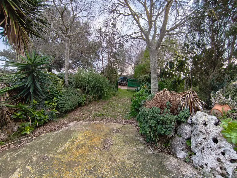 Discover this charming agricultural estate of four cuarteradas, located in a privileged setting with stunning views of the Tramuntana — photo 10