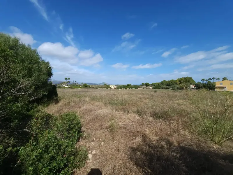 Opportunity: Rustic estate with agricultural building under construction near the beach — photo 6