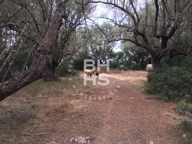 Country plot for sale in Felanitx — photo 7