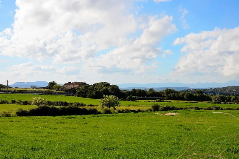 Large building plot with open views near Felanitx at Puig de Sant Salvador — photo 5