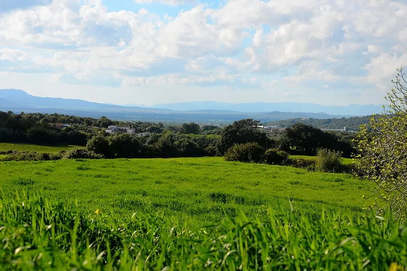 Large building plot with open views near Felanitx at Puig de Sant Salvador — photo 6