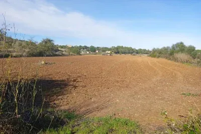 Building land with well in Santa Margalida — photo 1