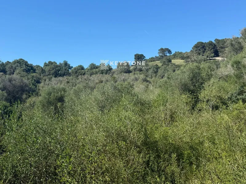 Plot — photo 10