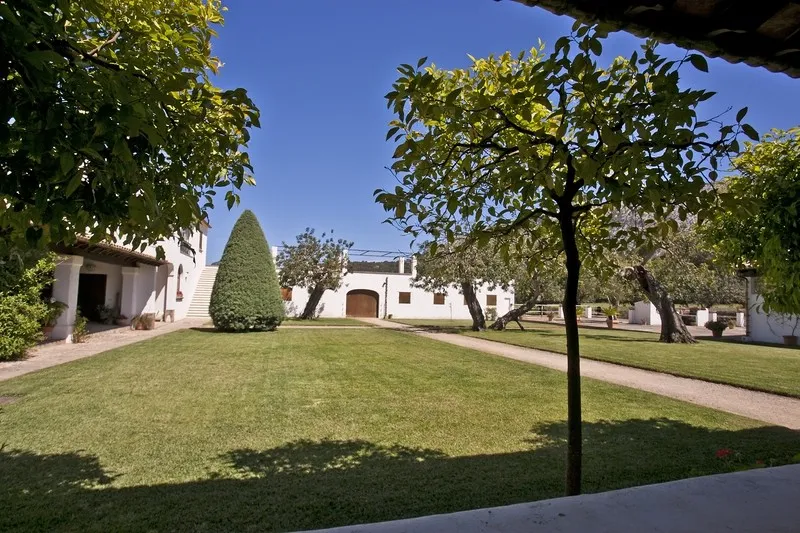 Magnificent exclusive property for sale in Pollensa set in Vall den March — photo 6
