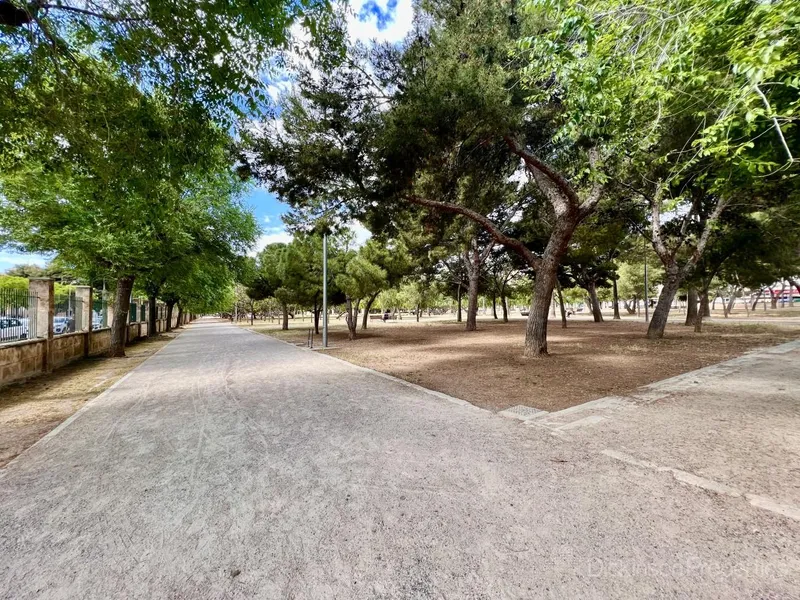 Flat for sale in Palma de Mallorca, Mallorca, Baleares, Spain — photo 3