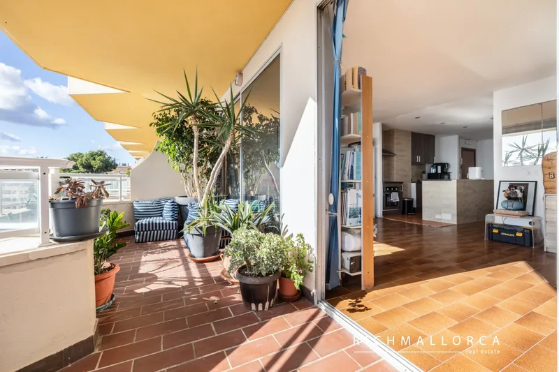 Sea-View Apartment for Renovation in Illetas – Top Investment Opportunity — photo 10