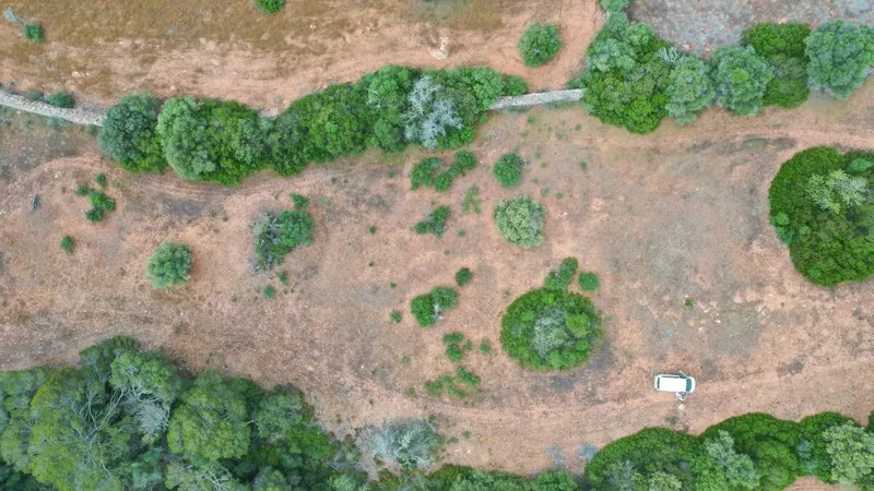 Plot with basic project of approximately 356m2 located in the area of Son Cosme — photo 5