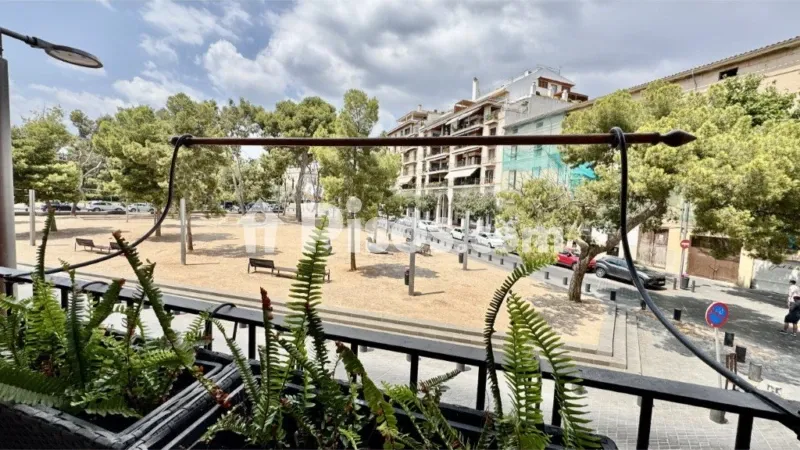 Apartment in El Puig de Sant Pere — photo 2
