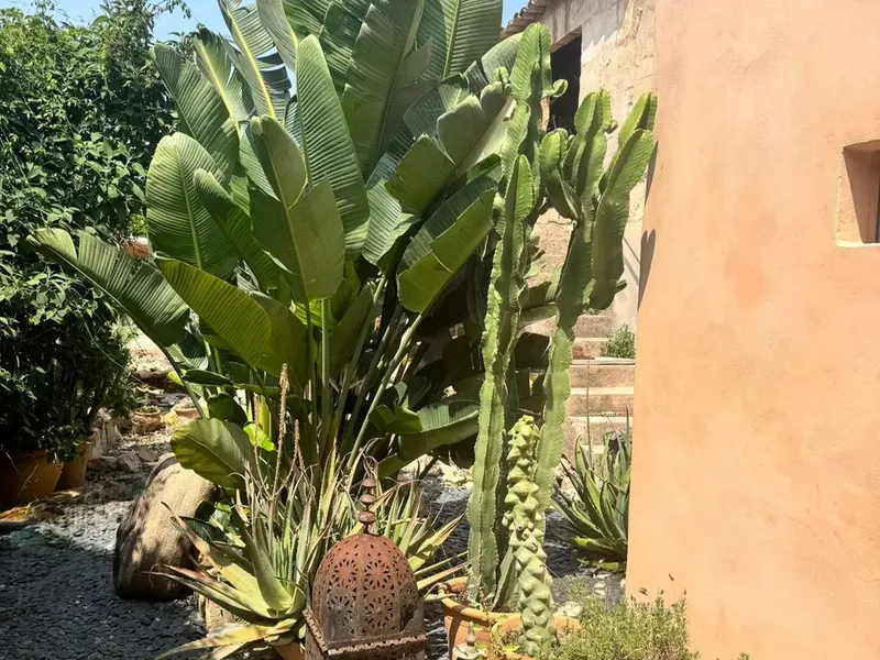 Village house in Sant Joan, Mallorca — photo 10
